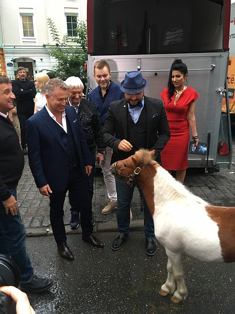 Ни дождь, ни проезжающие по переулку машины, ни толпа фотографов не испугали храброго пони Фото: Николай ГЕРАСИМОВ