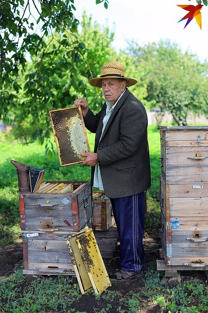 Ульев у пенсионера немного Фото: Виталий КАРНАУХ