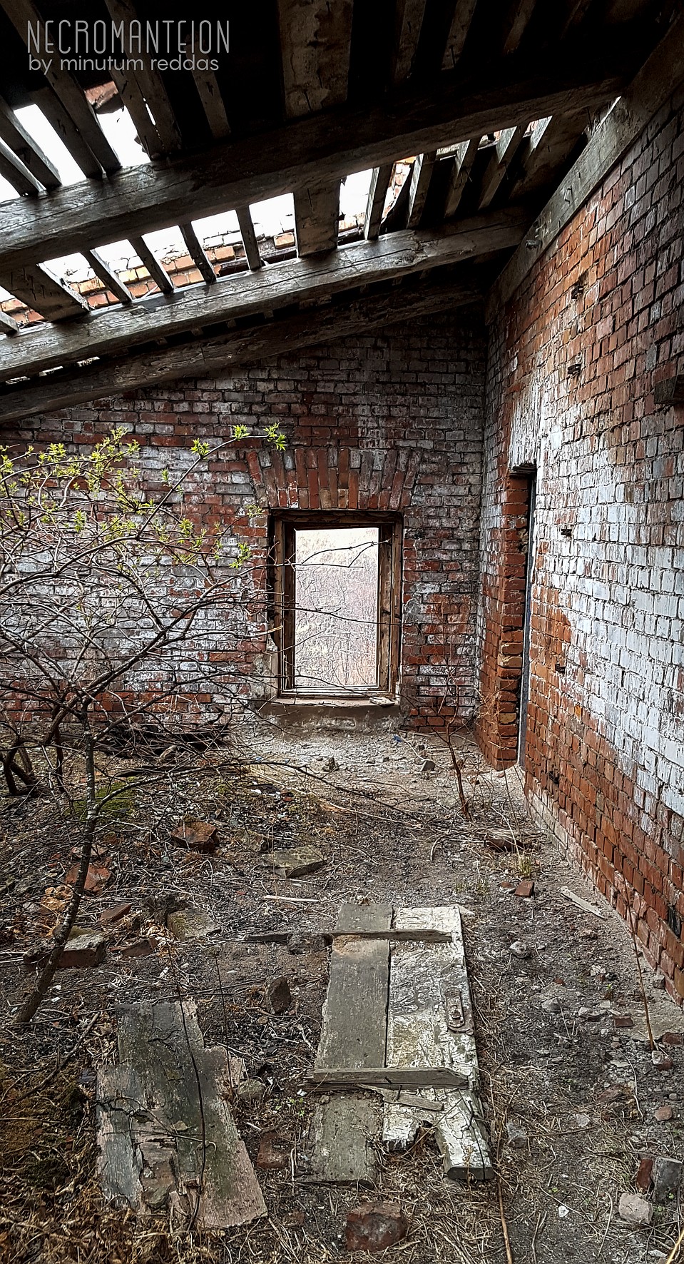 Уютная крыша, отсюда не хочется уходить. Фото: Анастасия Клещик