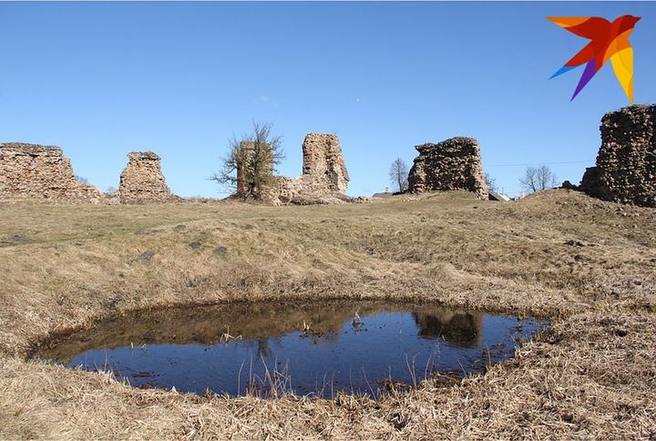 Воронки от снарядов и сегодня видны, как и 100 лет назад. Фото: архив Владимира БОГДАНОВА.