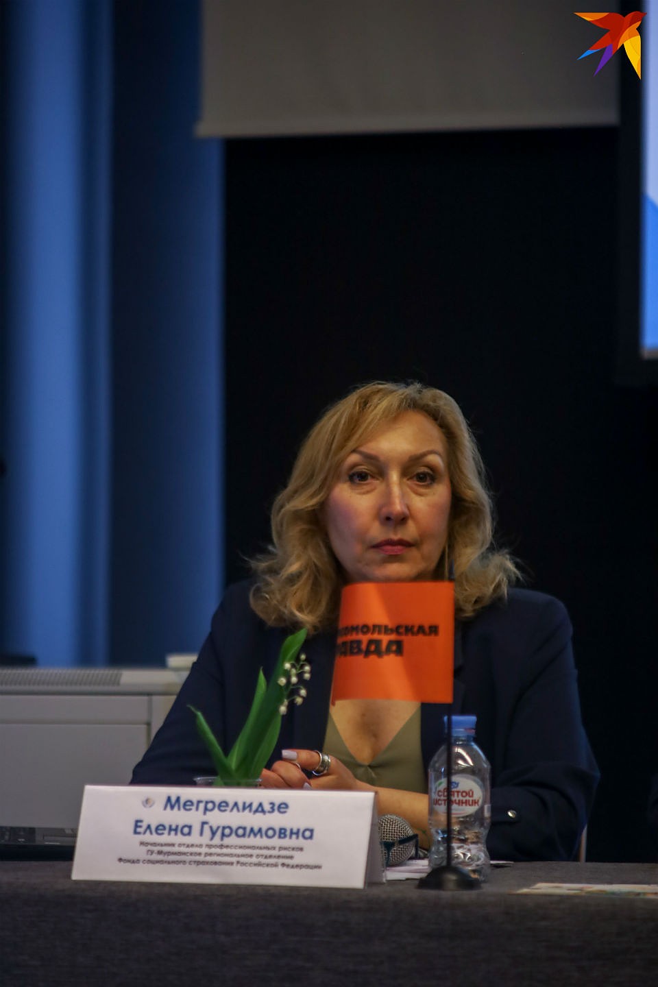 Елена Мегрелидзе: «На 1 июня в Мурманской области состоят на учете 17 402 страхователя-работодателя» Фото: Антон ЗАБИРОВ
