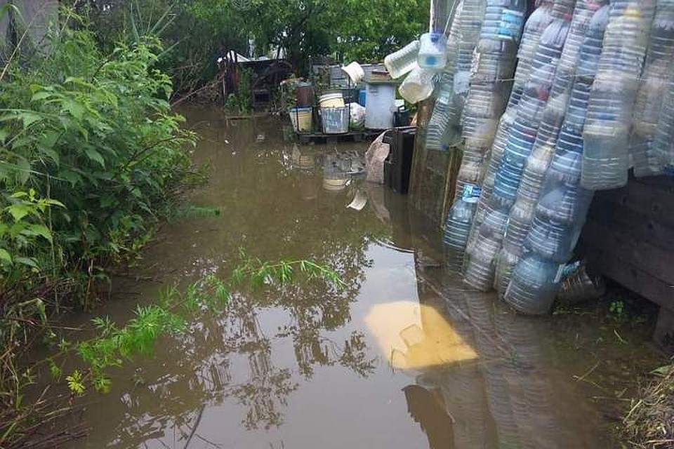 Вода уже подтапливает некоторые дачи на левом берегу Амура Фото: Надежда ВЫХОДЦЕВА