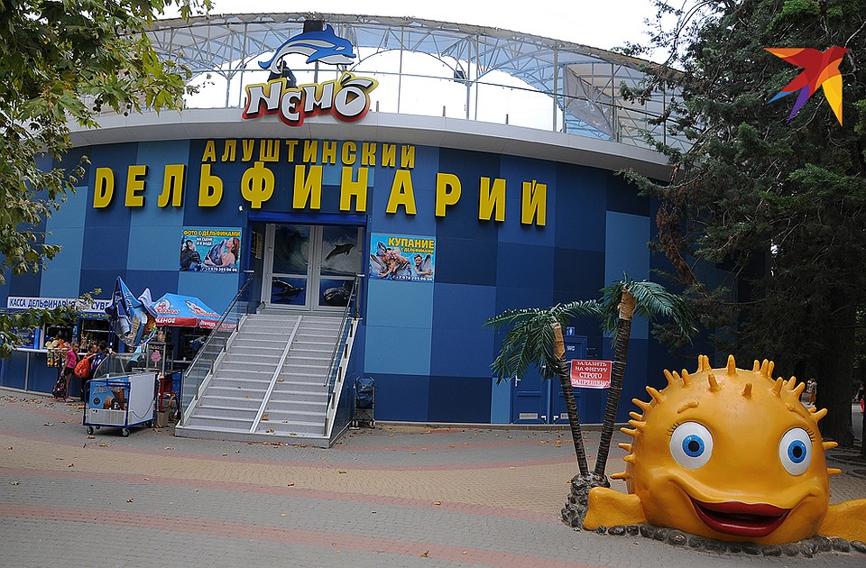 Алуштинский дельфинарий больше напоминает на тюрьму для морских животных, привыкших к морским неограниченным расстояниям и масштабам. Фото: Сергей ПОНОМАРЕВ