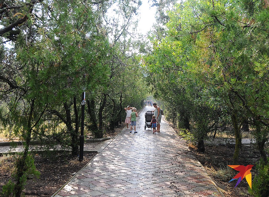 На живописной дорожке от поселка Новый Свет к пляжу. Фото: Сергей ПОНОМАРЕВ
