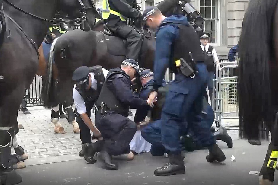 Митинг в Лондоне перерос в неконтролируемые стычки с силовиками Фото: Кадр видео