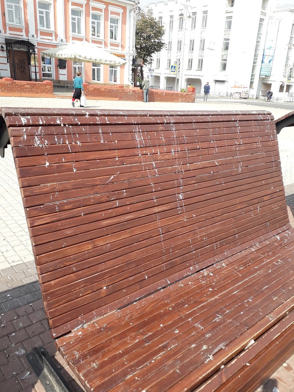 За голубями должны убирать 2 раза в неделю Фото: "Подслушано во Владимире" Вконтакте