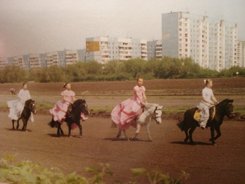Белый пони Султан посередине когда-то был элитным представителем породы Фото: Из личного архива
