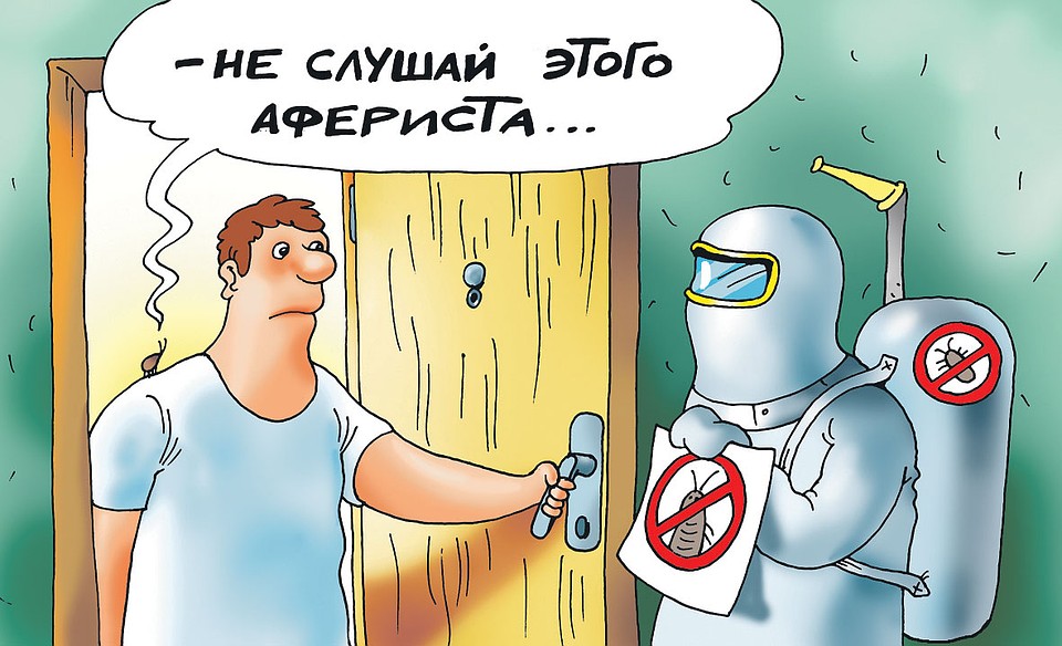 Если раньше клопы и тараканы появлялись исключительно в квартирах грязнуль, то теперь стали селиться в приличных домах. Фото: Екатерина МАРТИНОВИЧ
