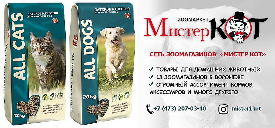 Сеть зоомагазинов «Мистер Кот» приготовила приятные для питомцев подарки.