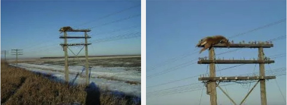 Опора стоит рядом с насыпью железной дороги.