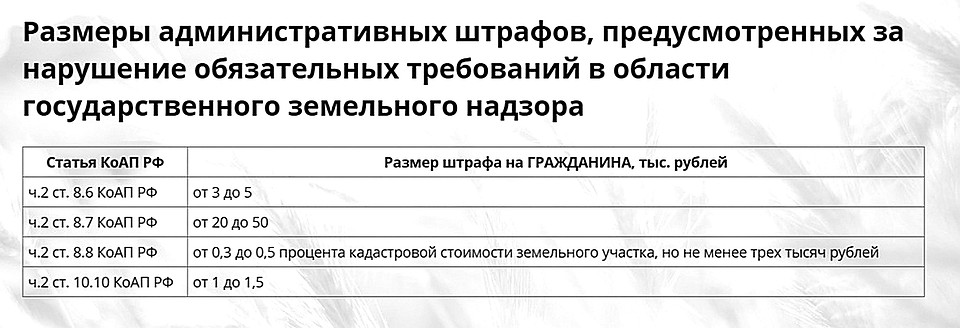 Штрафы - веский повод поработать над ошибками.