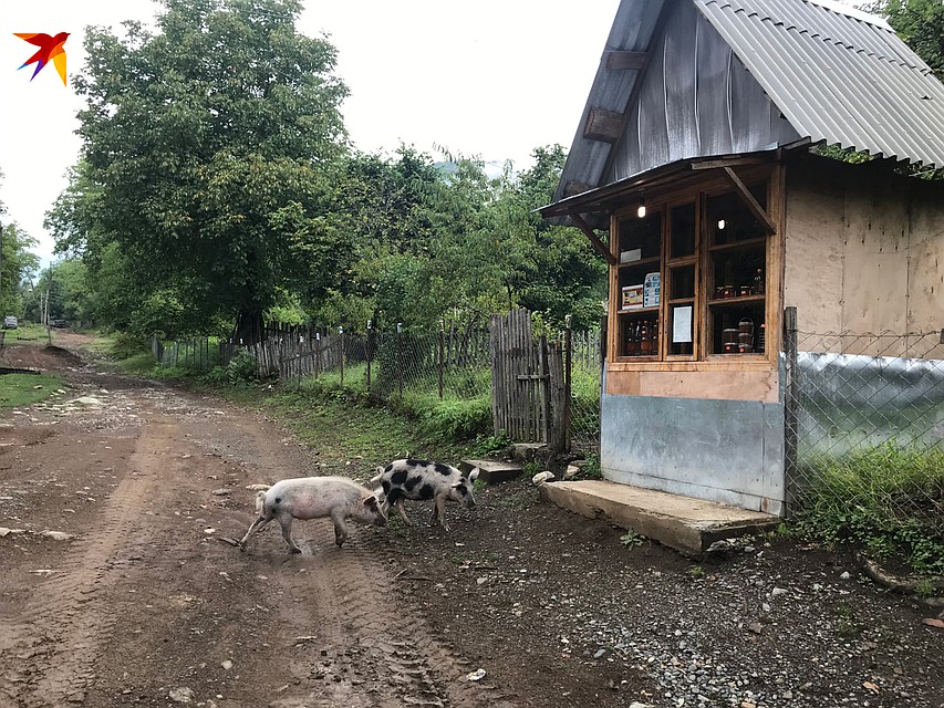 Деревенский магазинчик по продаже меда. Боже, какой вкусный здесь мед! Фото: Владимир ВОРСОБИН