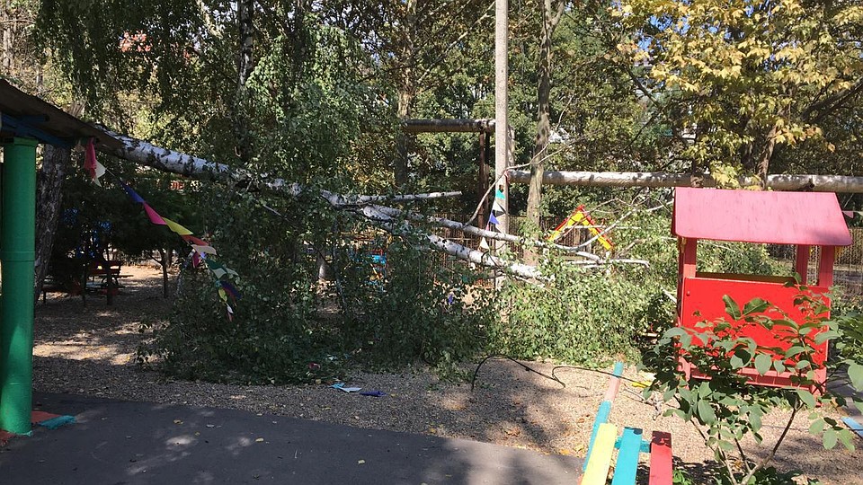 Деревья падали на территории детских садов Фото: администрация Краснодара