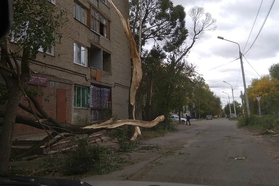 Фото: «Инцидент Омск», vk.com