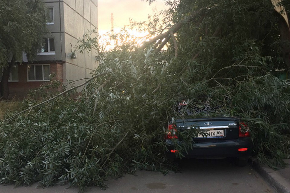 Фото: «ЧП Омск», vk.com
