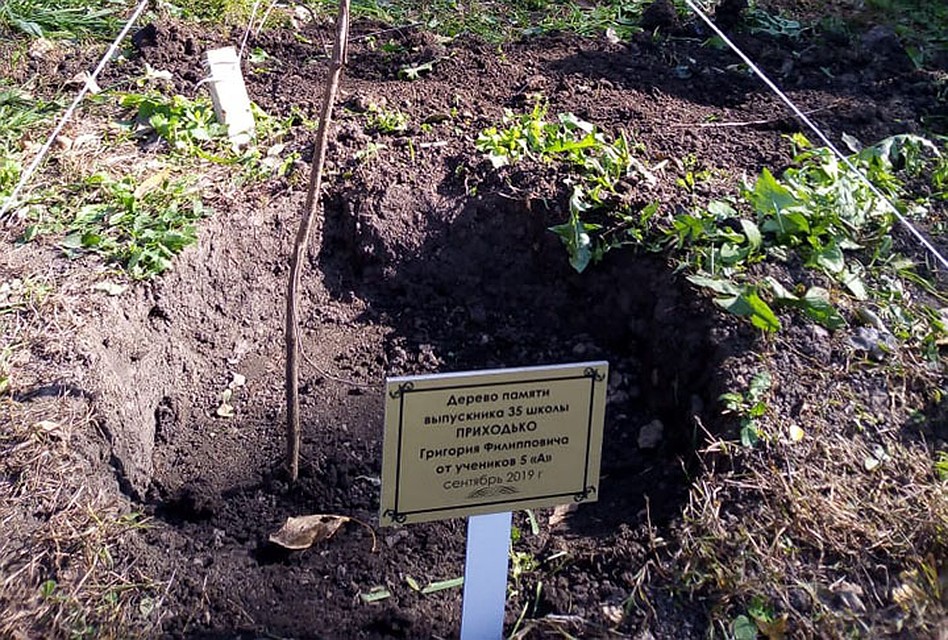 Ученики школы №35 посадили деревья на центральной набережной в память выпускниках, погибших во Второй мировой войне Фото: Евгения МОЛОТОВА