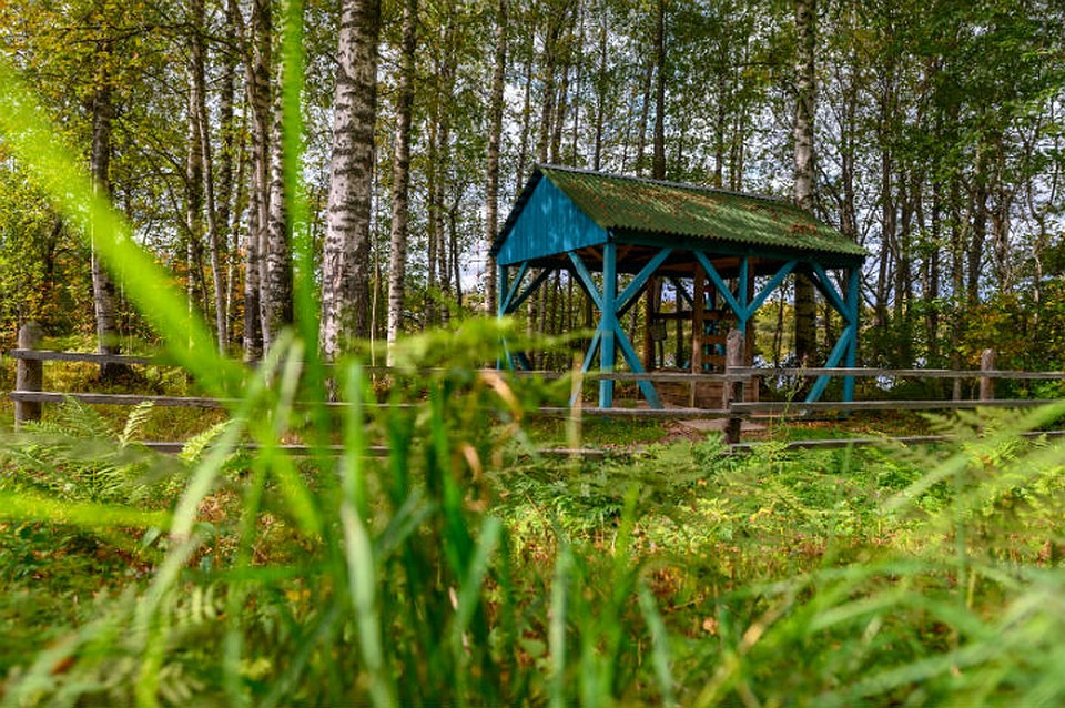 А на станции Токари обнаружился родник с дизайном в скандинавском стиле. Фото: Мария Новоселецкая.