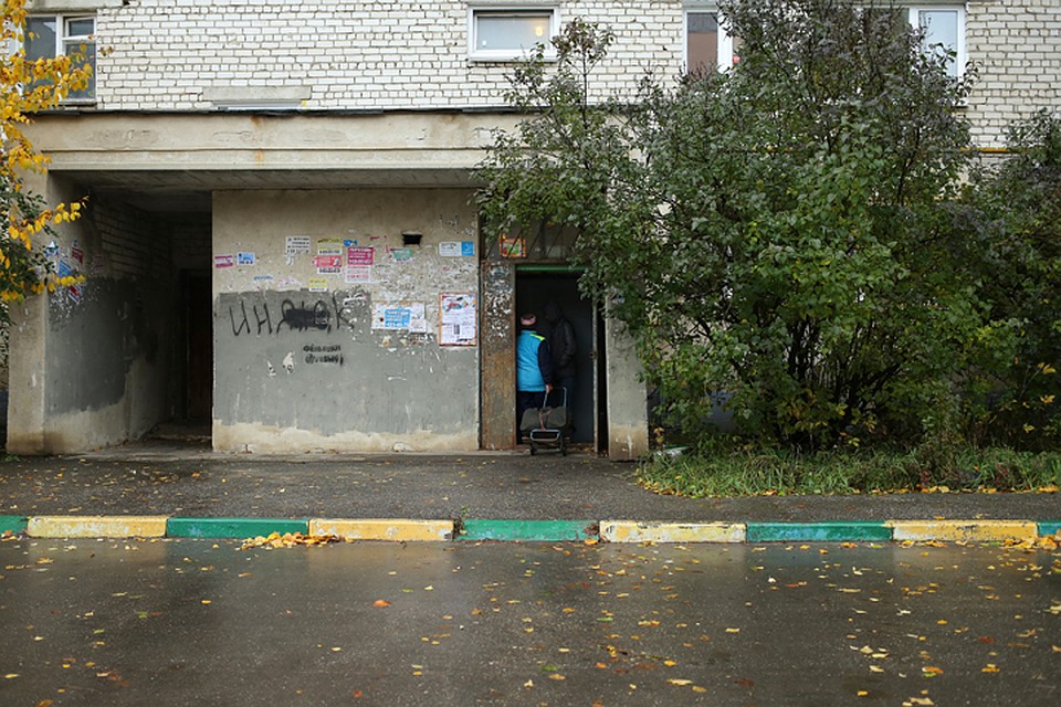 Дом, в котором раздается лошадиное ржание, стал известен на весь город Фото: Анастасия МАКАРЫЧЕВА