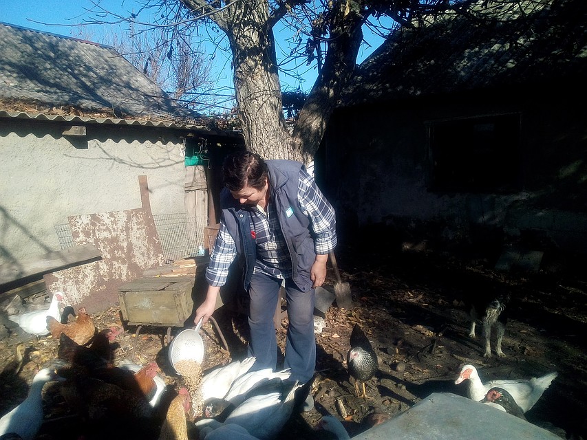 Домашнее подворье – отдушина для жительницы прифронтового поселка, на окраине которого окопались «укропы» Фото: Роман ПОБЕРЕЖНЮК