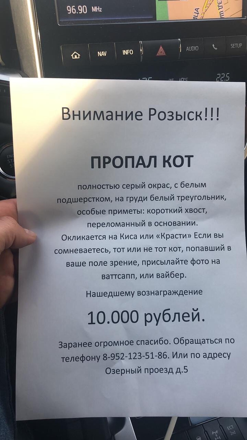 Фото: Служба "Потеряшка".