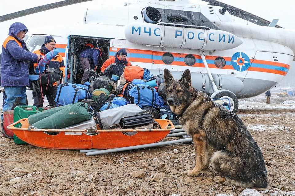 Кинологи с собаками ищут пострадавших Фото: ГУ МЧС Хакасии