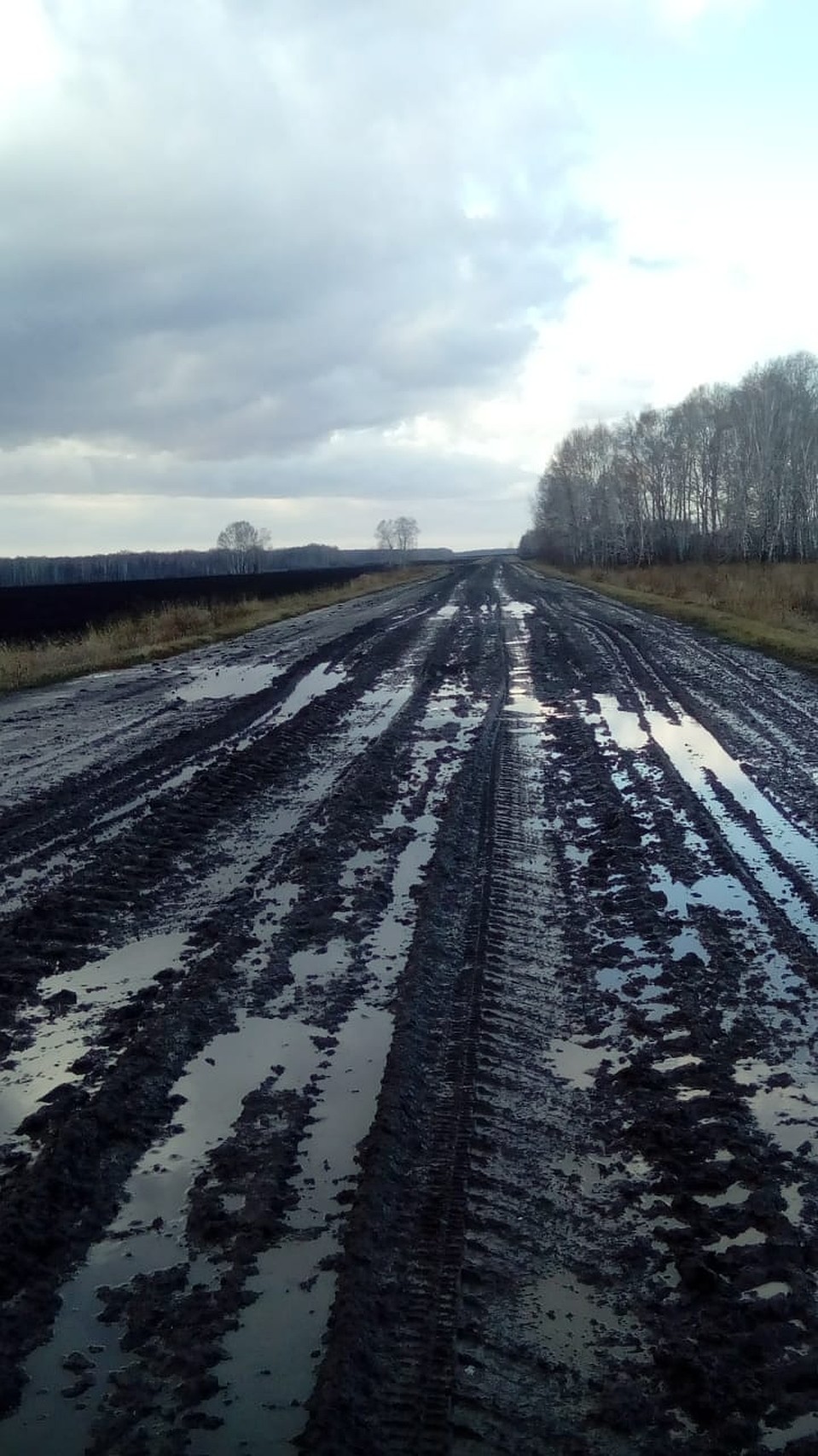 Вот так выглядит дорога из села Балман.