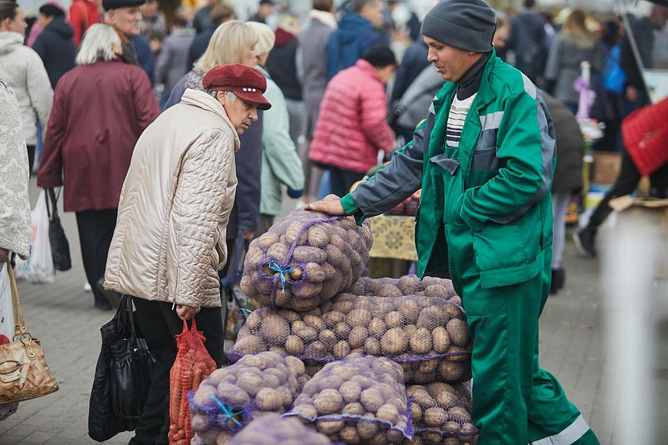 В Украине по сравнению с прошлым годом картофель подорожал в несколько раз Фото: Павел МАРТИНЧИК
