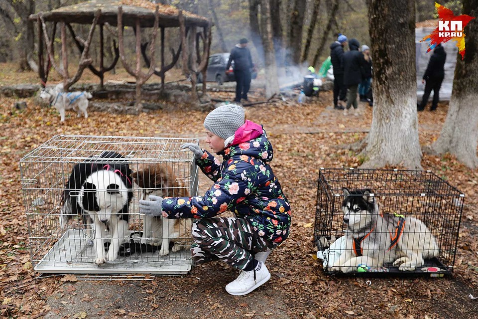 Перед началом соревнований Фото: Дмитрий АХМАДУЛЛИН