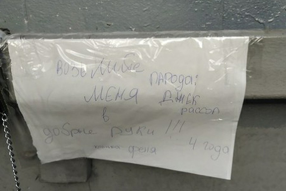 Владельцы заботливо оставили рядом с собакой такое объявление, зачем-то соврав про возраст животного. Фото: СОЦСЕТИ
