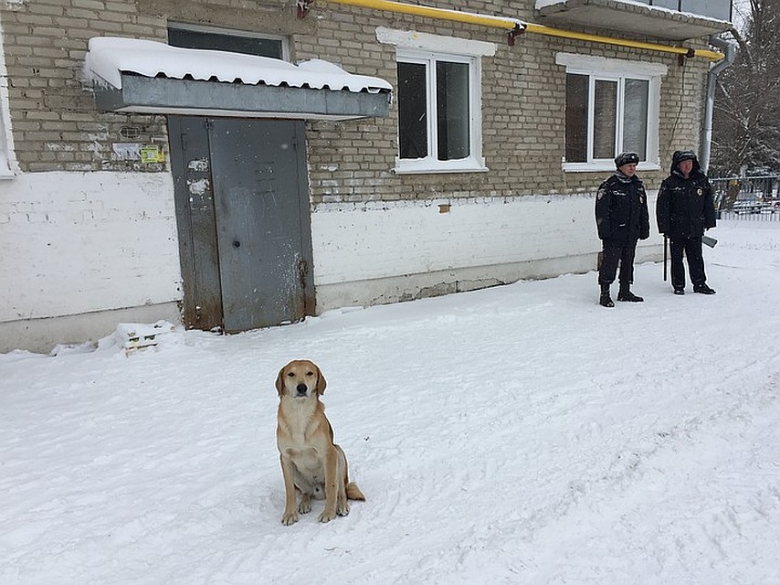Село Санниково внешне вполне благополучное. В ходе визита Медведева оказалось, что первое впечатление обманчиво. Фото: Елена КРИВЯКИНА