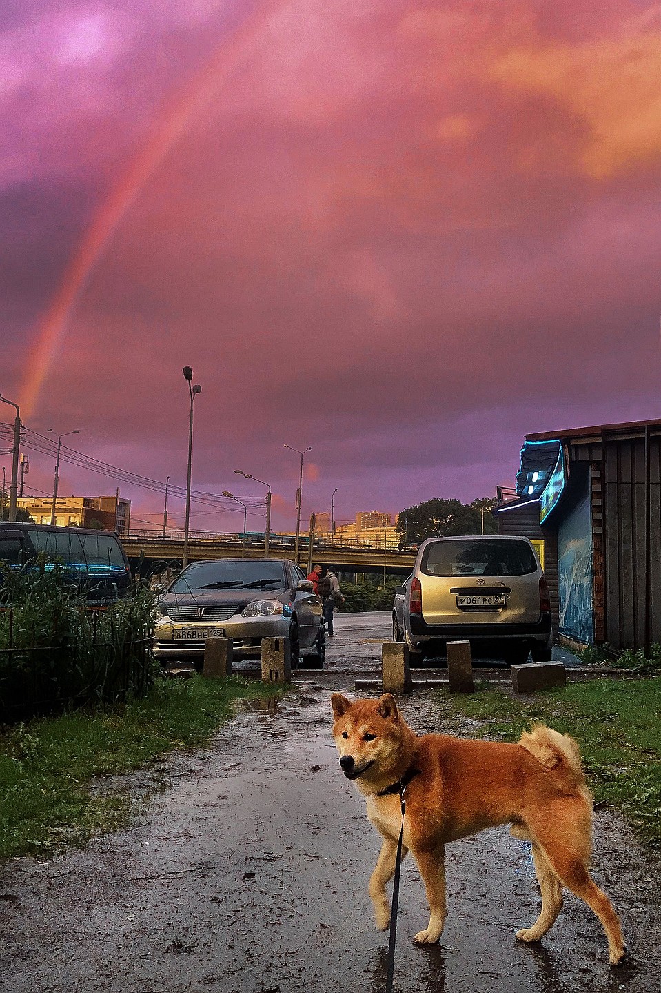 Фотогеничности красавчика можно только позавидовать. Фото: Предоставлено героем публикации