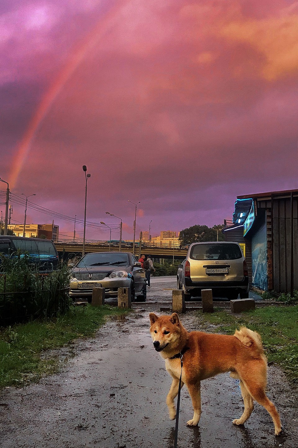 Фотогеничности красавчика можно только позавидовать. Фото: Предоставлено героем публикации