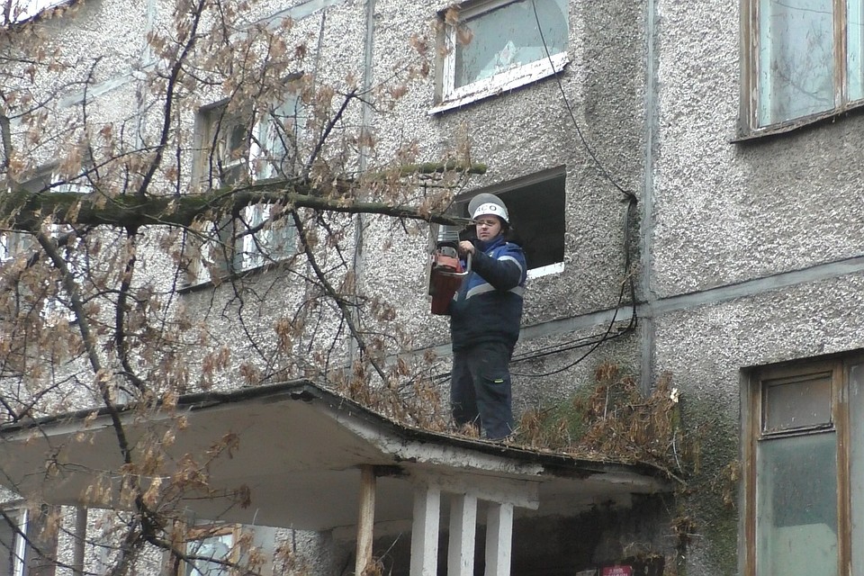 В выходные дерево рухнуло на козырек подъезда дома в Липецке Фото: Пресс-служба ГО и ЧС Липецка.