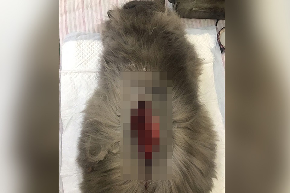Трагедия случилась вечером в Рождество