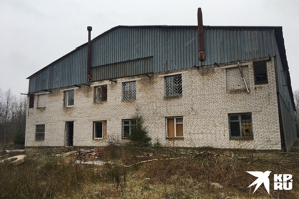 Ангар преступники купили в собственность за 400 тысяч рублей. Фото: Ульяна СКОЙБЕДА