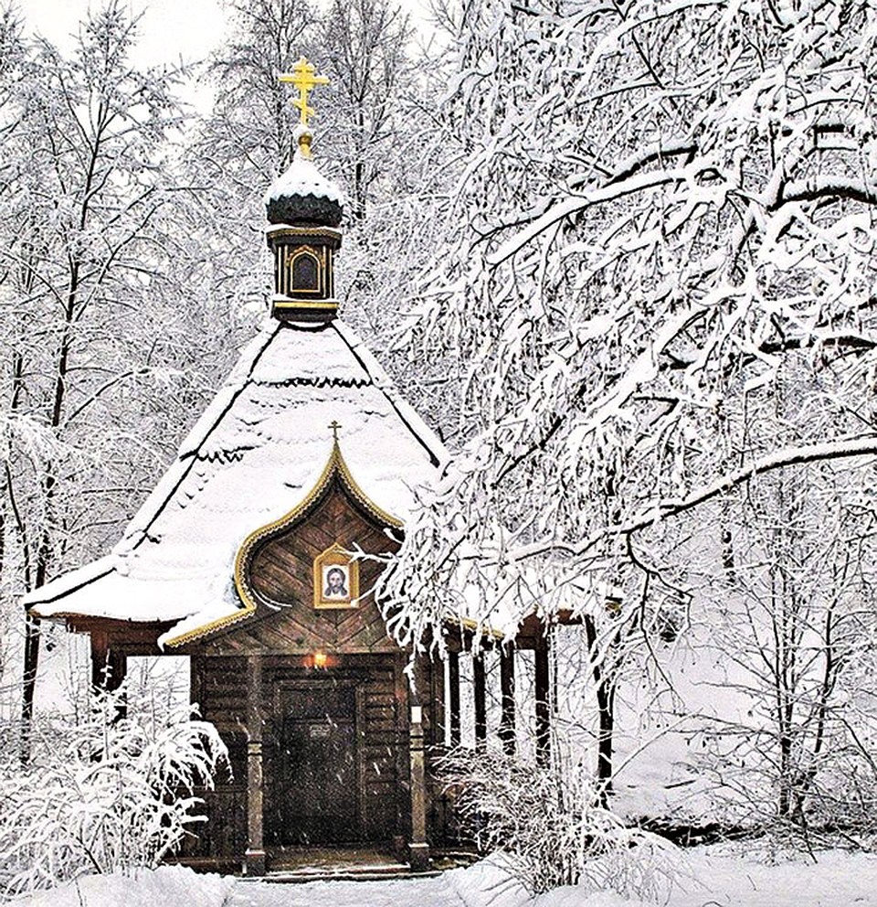 ФОТО: Пресс-служба Правительства МО