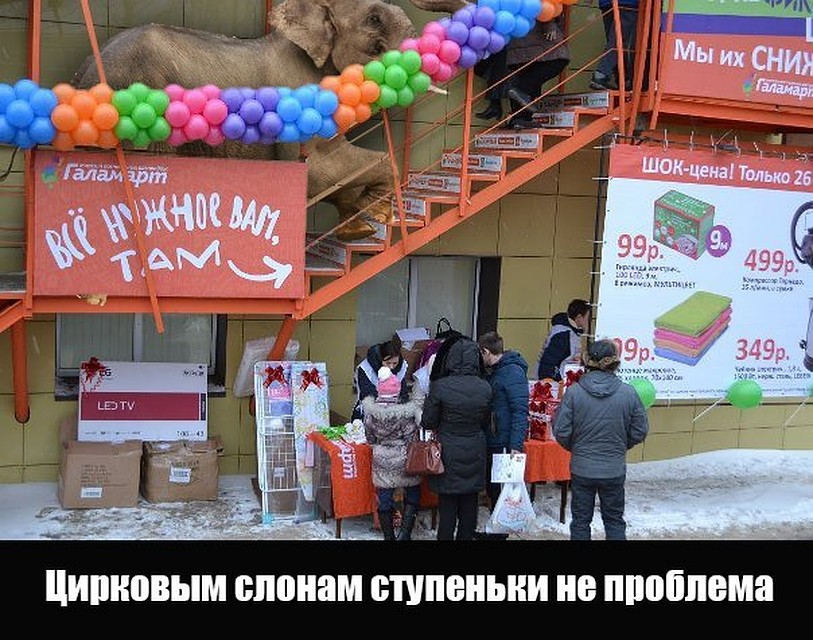 Фото: предоставлено магазином "Галамарт"