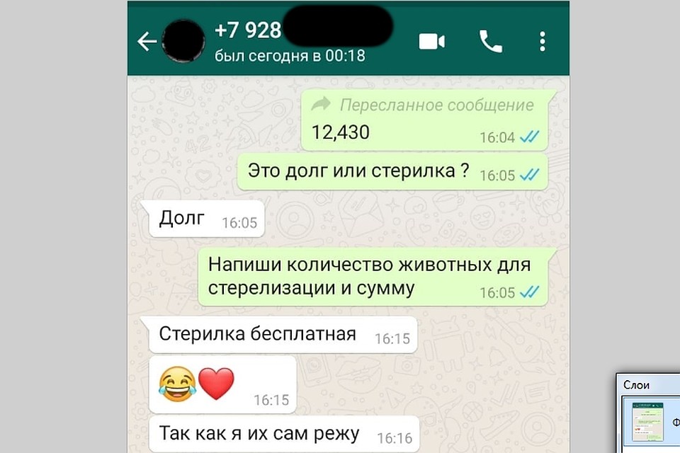 Переписка Анара Баширова с помощниками