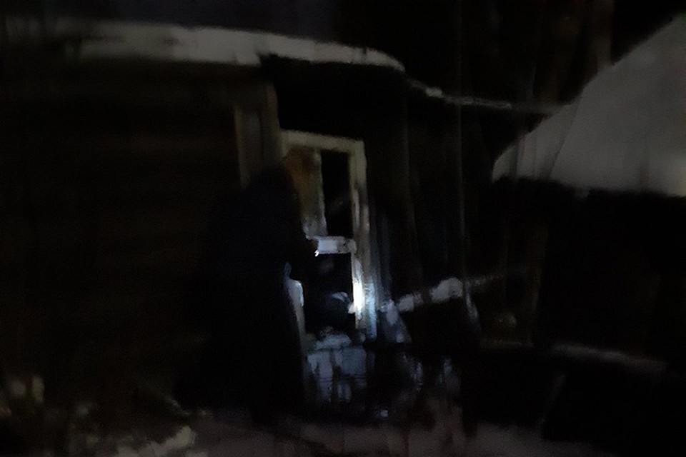 На помощь к собаке Марина поспешила с одним только фонариком. Фото: СОЦСЕТИ