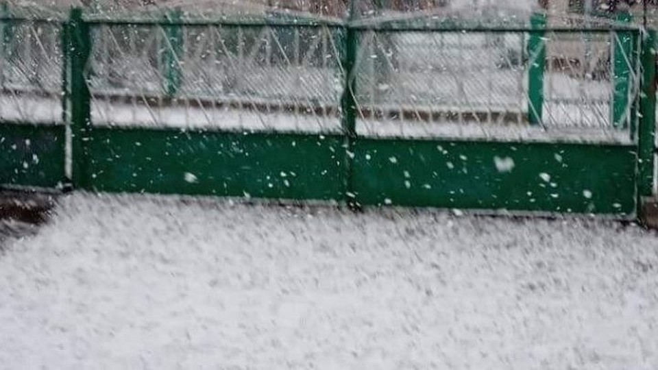 Снежинки, которых мы не видели еще этой зимой. Фото publika