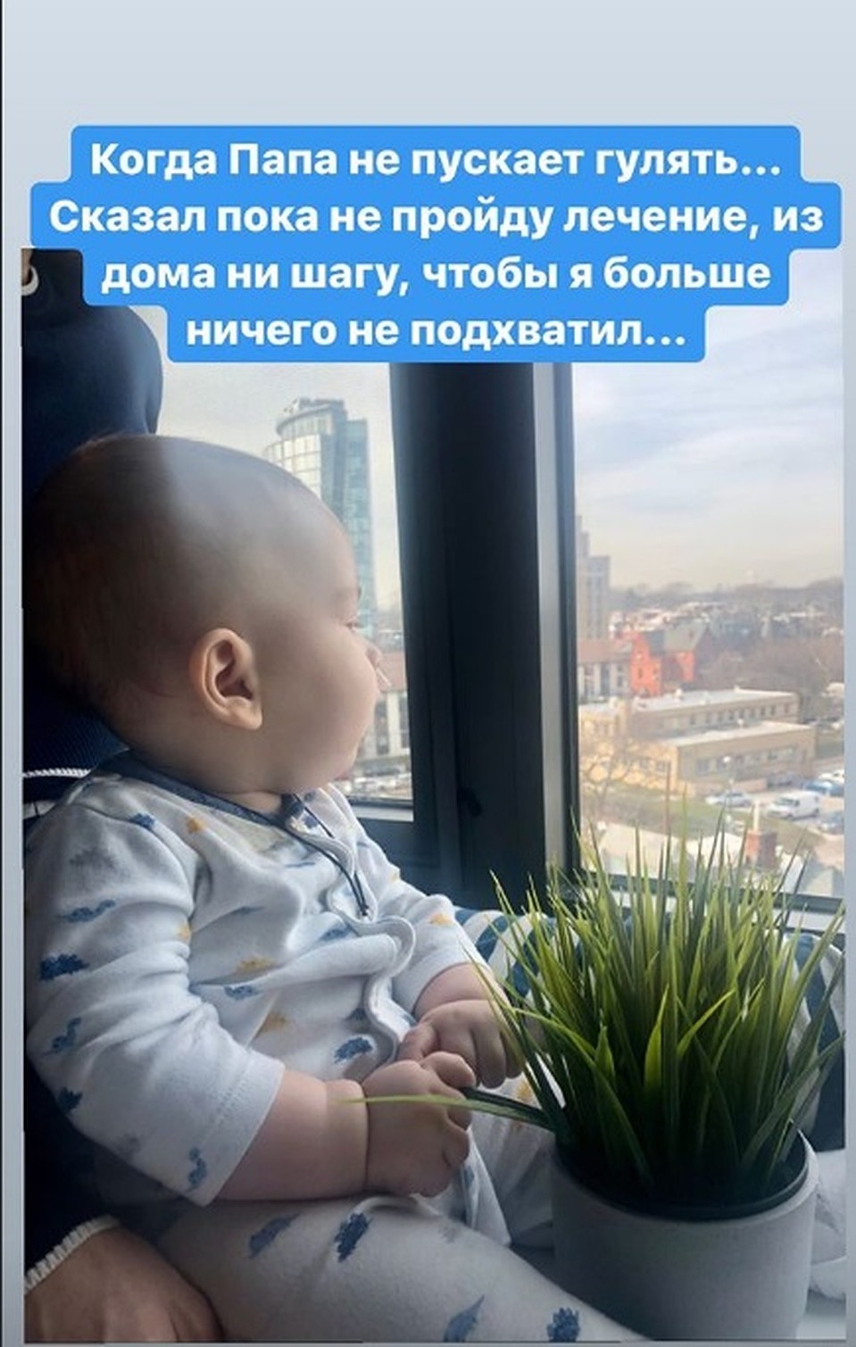 Из дома - ни шагу. Фото: Instagram семьи Тишуниных
