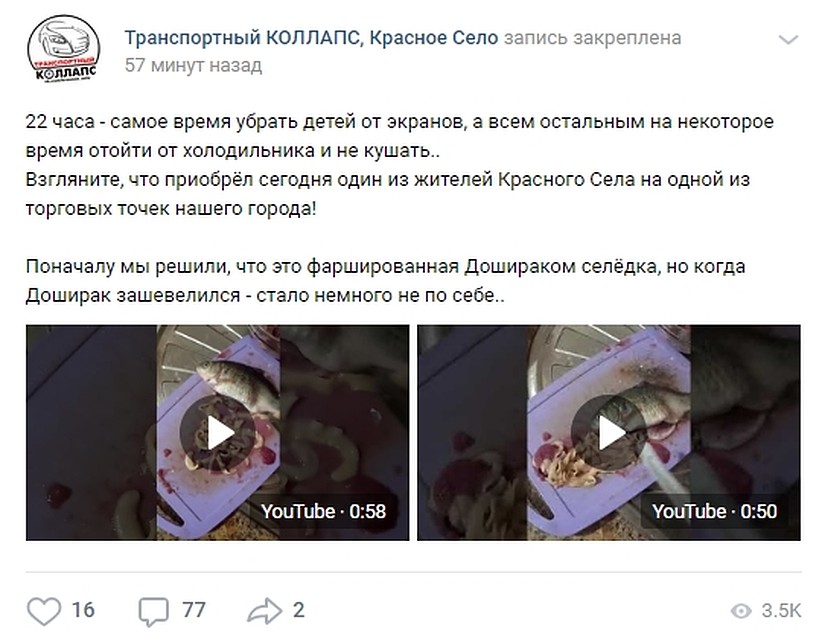 "Чужой" в рыбе явно испортил аппетит несчастному покупателю. Фото: vk.com/krasnoe_selo
