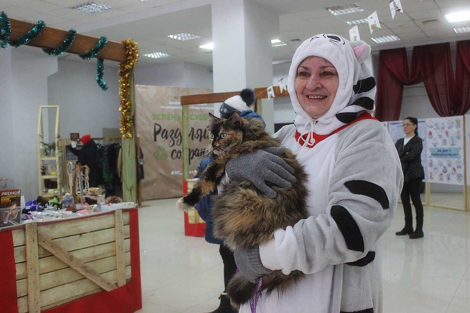Котики украсят любое мероприятие Фото: Анастасия МАШКАЛЕВА