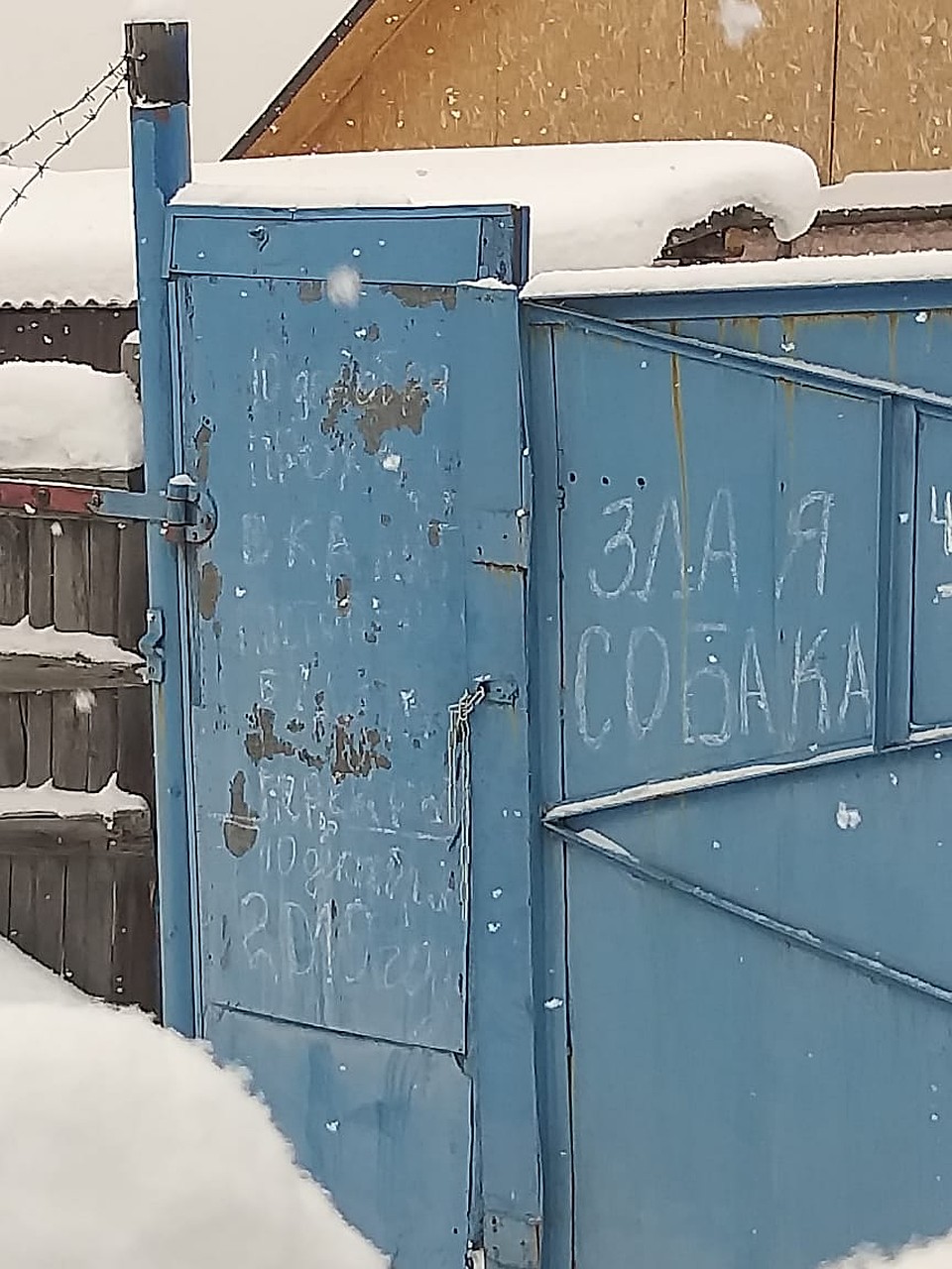 Забор соседей Фото: из личного архива героя(ев) публикации
