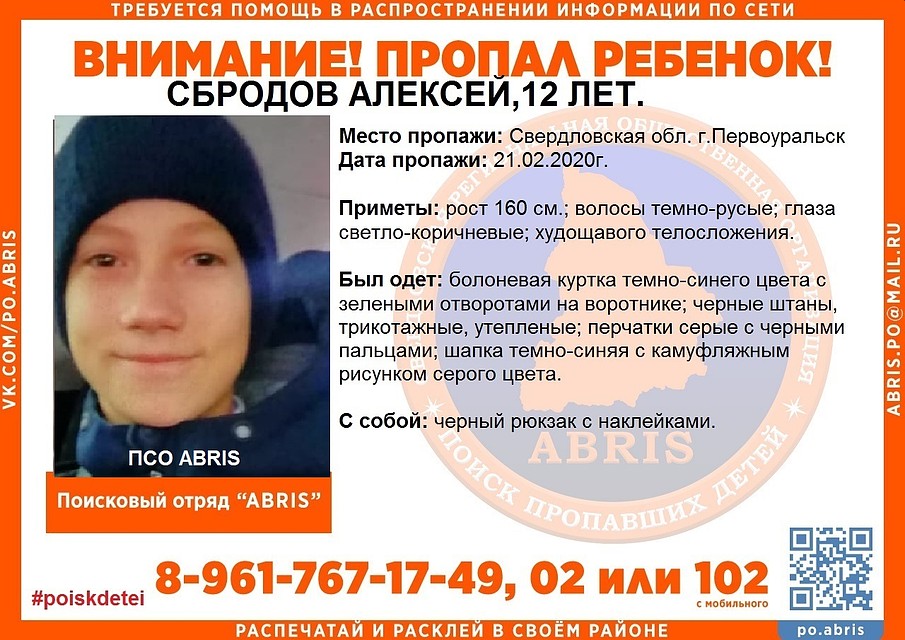 В Первоуральске собирают волонтеров для масштабных поисков ребенка. Фото: vk.com/po.abris