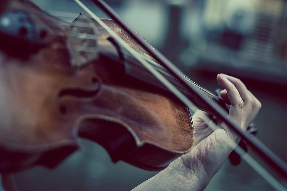 Фото: pixabay.com