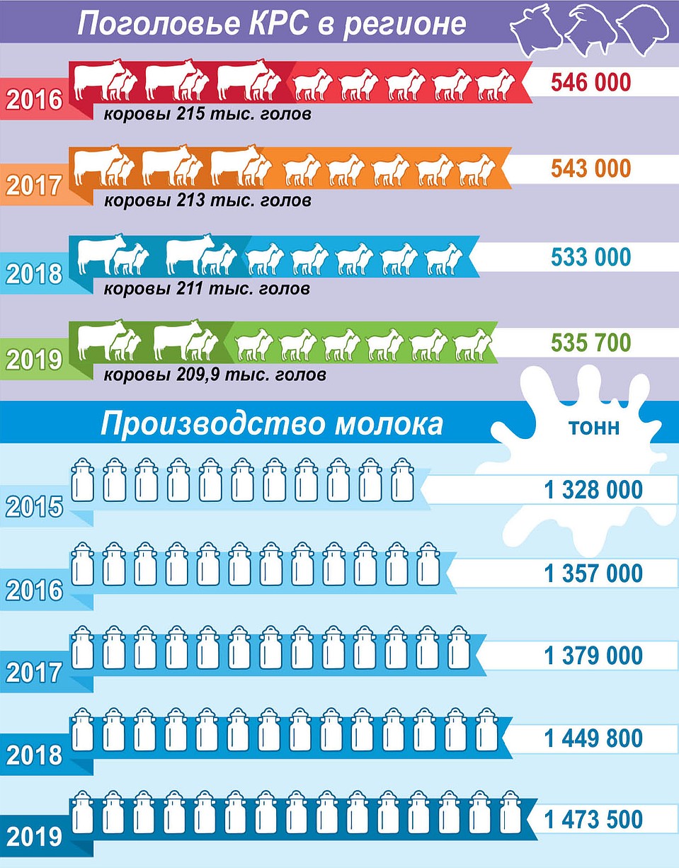 Поголовье КРС в Краснодасрком крае