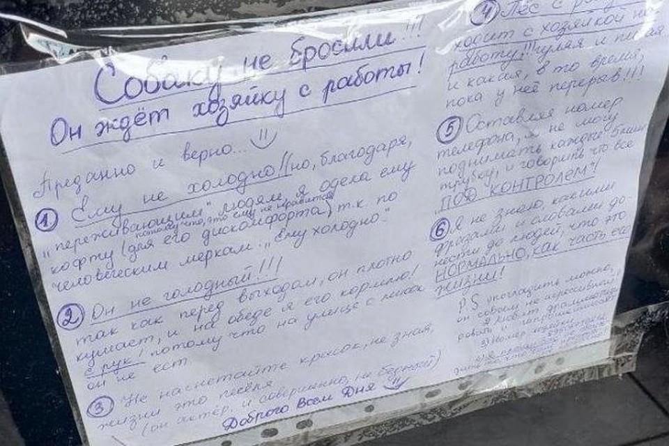 Рядом с Цезарем прикреплена специальная табличка: мол, не беспокойтесь, со мной все в порядке. Фото: Александр Подгорчук