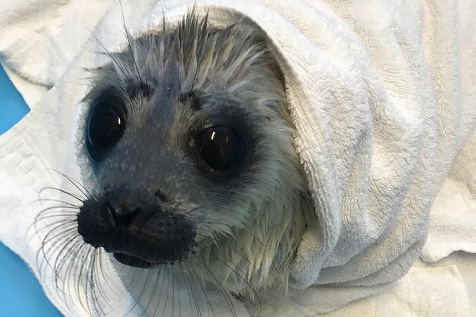 А холодная вода малышке не нравится, мерзнет / Фото: Водоканал Петербурга