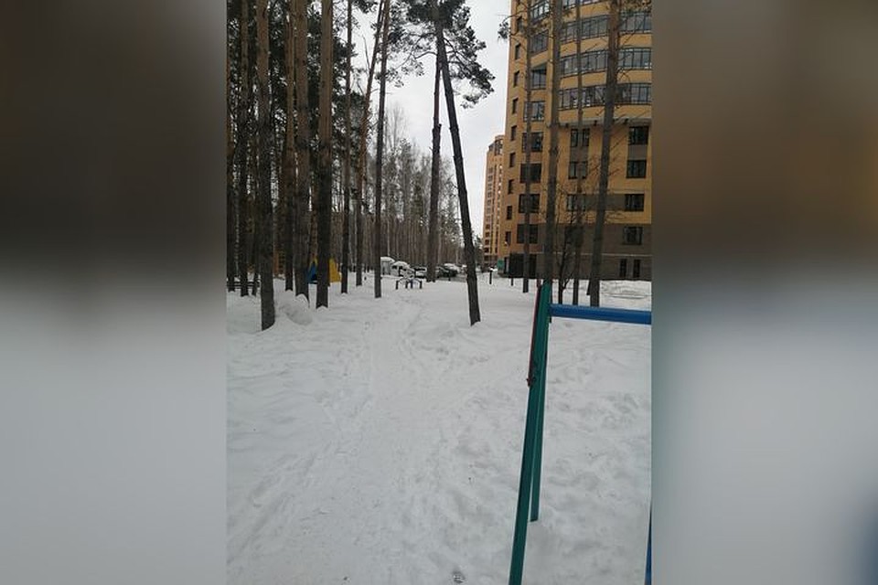 Деньги парень нашел около площадки рядом с домом по адресу улица Коптюга, 19. Фото: Максим Бериков